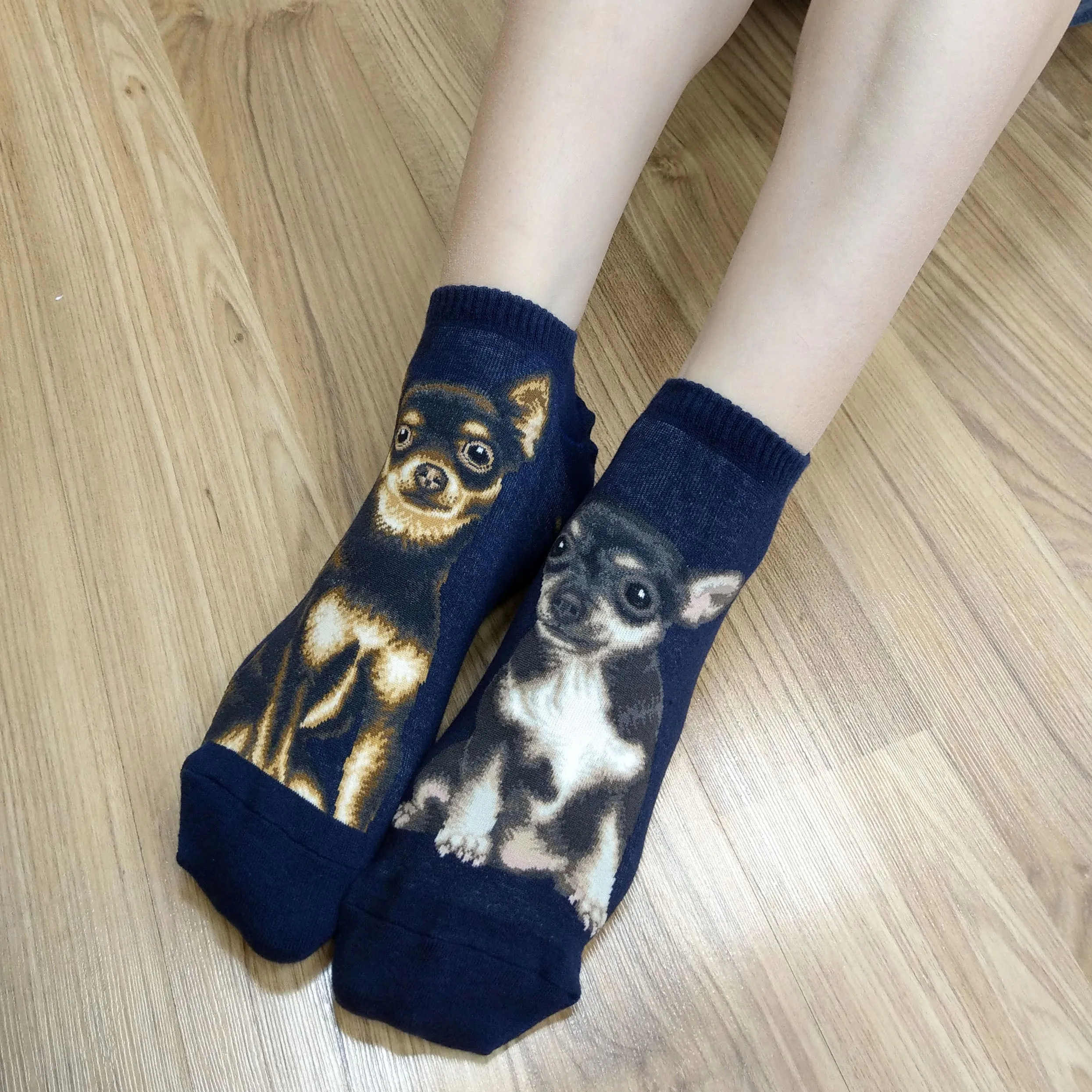 Dogs Ankles - Chihuahua Navy