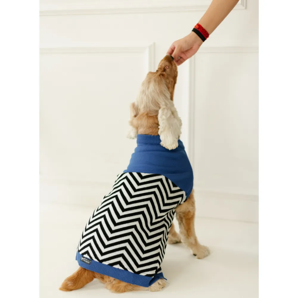 Pet Set Go Raisin’s Sweater for Dogs and Cats (Blue & Black)